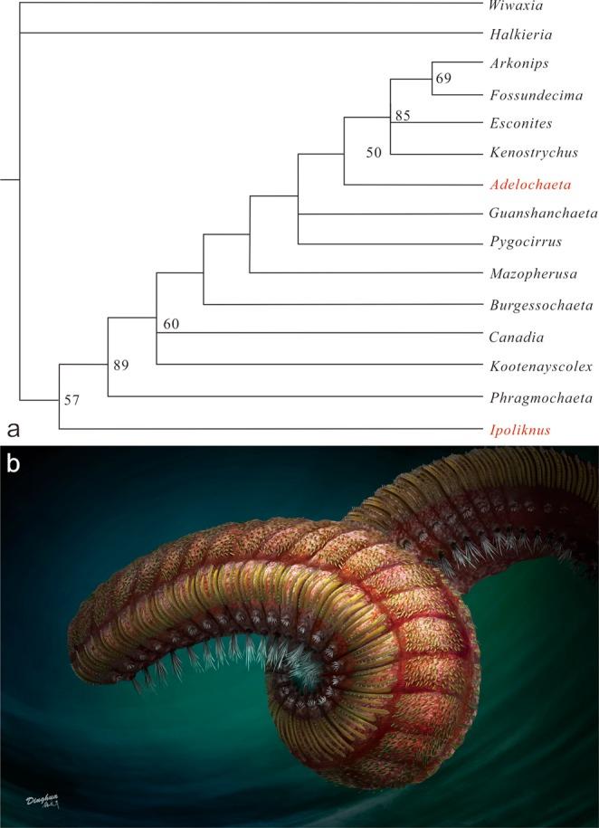 https://cdn.ncbi.nlm.nih.gov/pmc/blobs/af6c/6426949/ac395e806b00/41598_2019_40841_Fig4_HTML.jpg