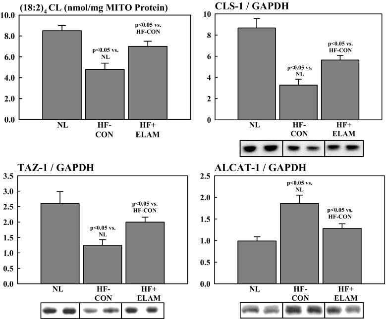 https://cdn.ncbi.nlm.nih.gov/pmc/blobs/af6f/6133191/106b8a370713/10557_2018_6805_Fig6_HTML.jpg