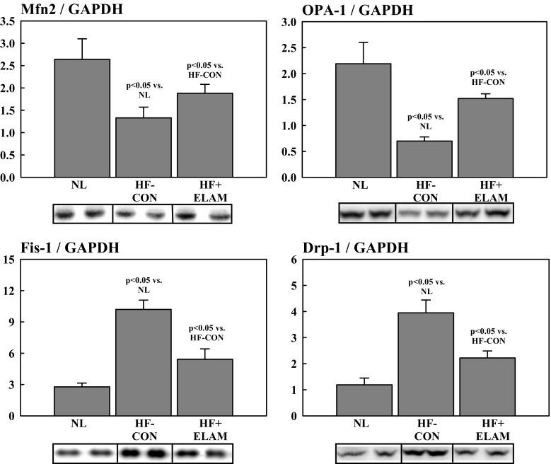 https://cdn.ncbi.nlm.nih.gov/pmc/blobs/af6f/6133191/34d4228df6e2/10557_2018_6805_Fig5_HTML.jpg