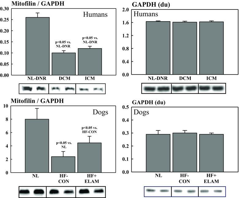 https://cdn.ncbi.nlm.nih.gov/pmc/blobs/af6f/6133191/4816b3f80c31/10557_2018_6805_Fig4_HTML.jpg