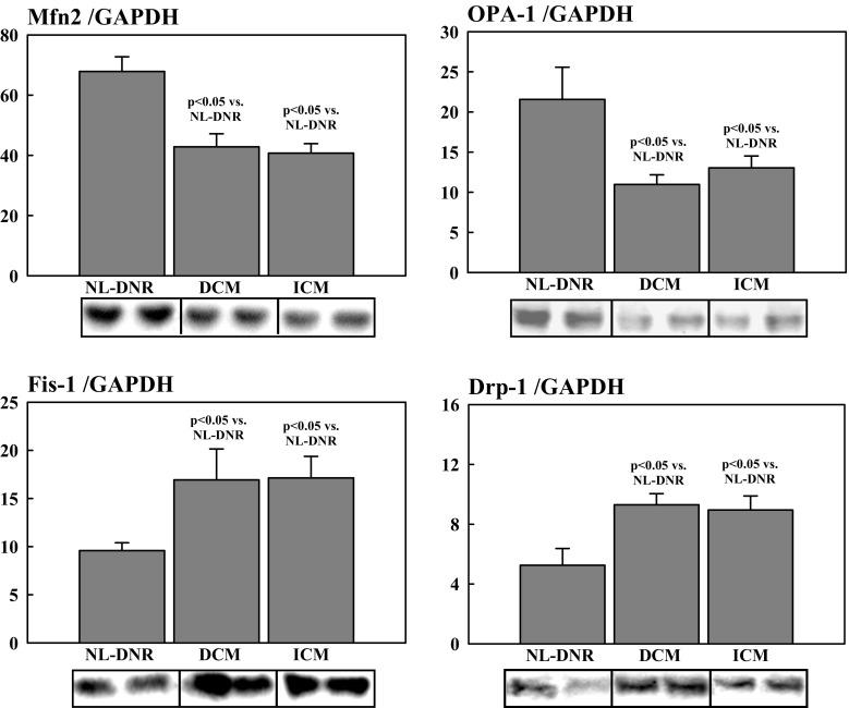https://cdn.ncbi.nlm.nih.gov/pmc/blobs/af6f/6133191/f4720a1cdbb5/10557_2018_6805_Fig3_HTML.jpg