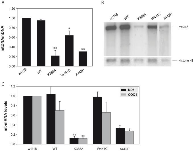 https://cdn.ncbi.nlm.nih.gov/pmc/blobs/af70/3429445/2cba3aeb4db9/pone.0043954.g003.jpg