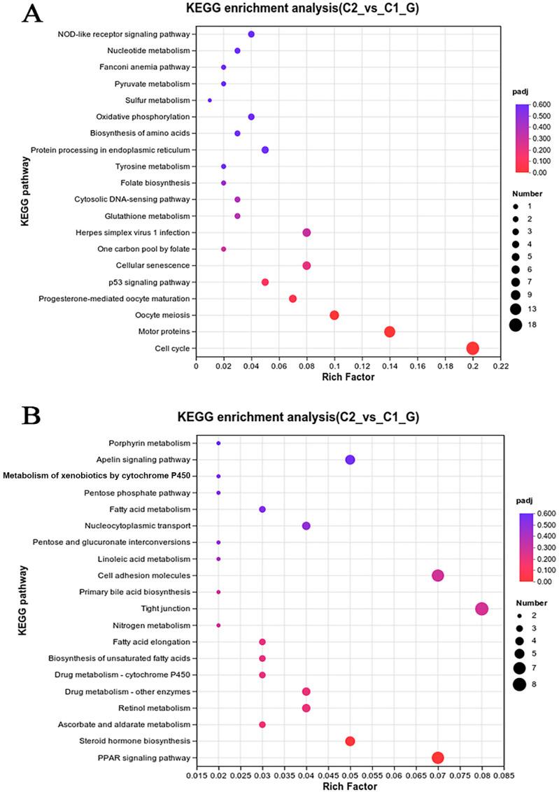 https://cdn.ncbi.nlm.nih.gov/pmc/blobs/af71/12026950/90ff8e2dedfb/genes-16-00392-g010.jpg