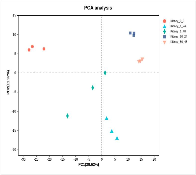 https://cdn.ncbi.nlm.nih.gov/pmc/blobs/af71/12026950/94fc9f52b173/genes-16-00392-g006.jpg