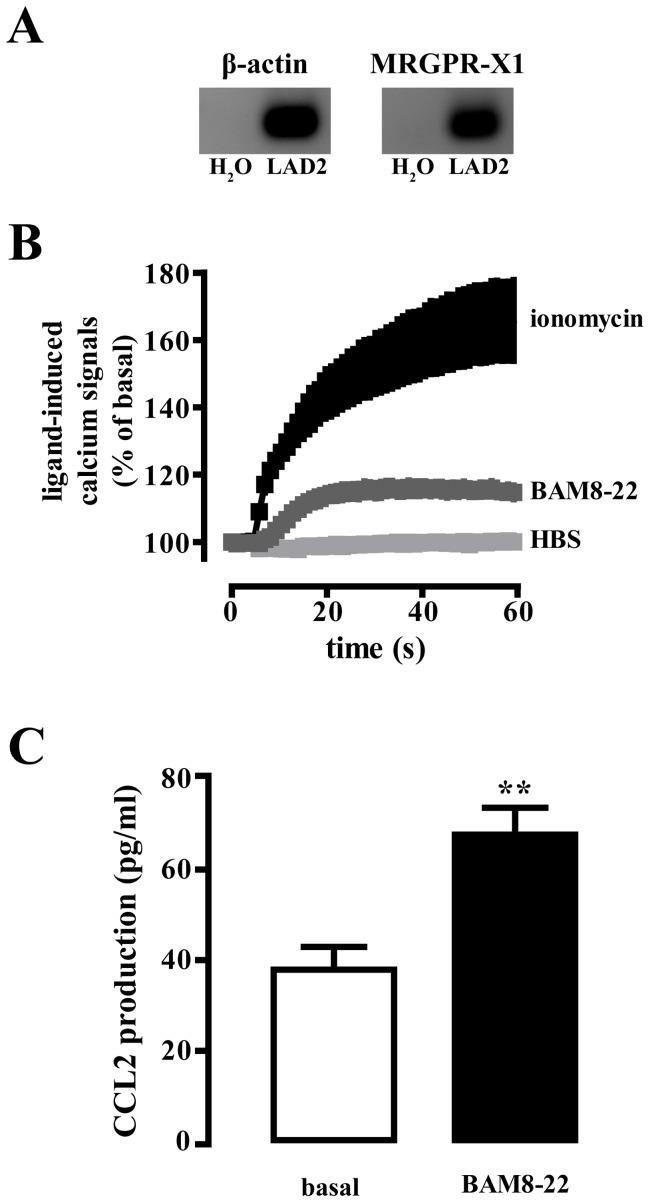 https://cdn.ncbi.nlm.nih.gov/pmc/blobs/af71/3591377/dde5e0ccd4df/pone.0058756.g007.jpg