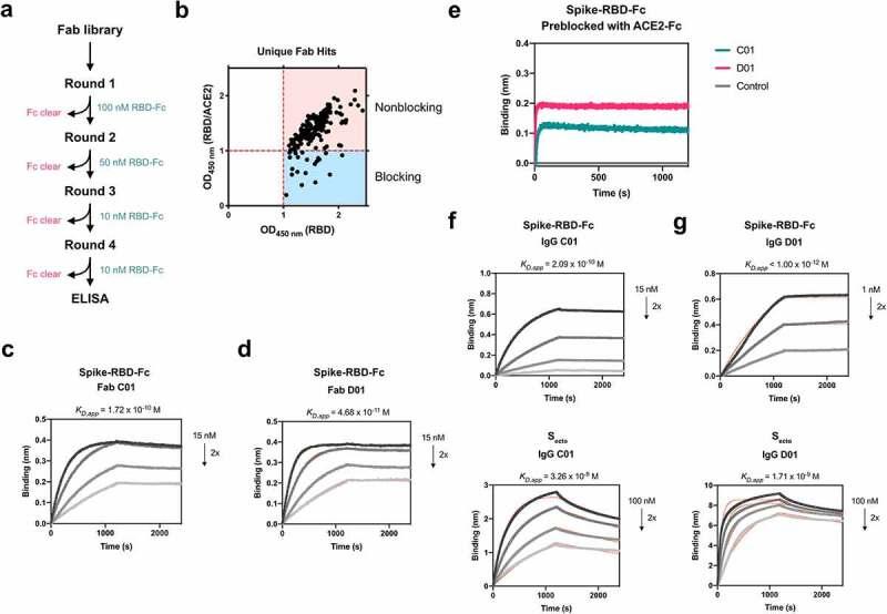 https://cdn.ncbi.nlm.nih.gov/pmc/blobs/af71/7939556/0b85fe98eef0/KMAB_A_1893426_F0001_OC.jpg