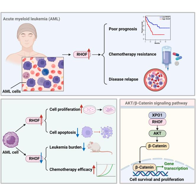 https://cdn.ncbi.nlm.nih.gov/pmc/blobs/af72/11253531/1cb85f48d66f/fx1.jpg