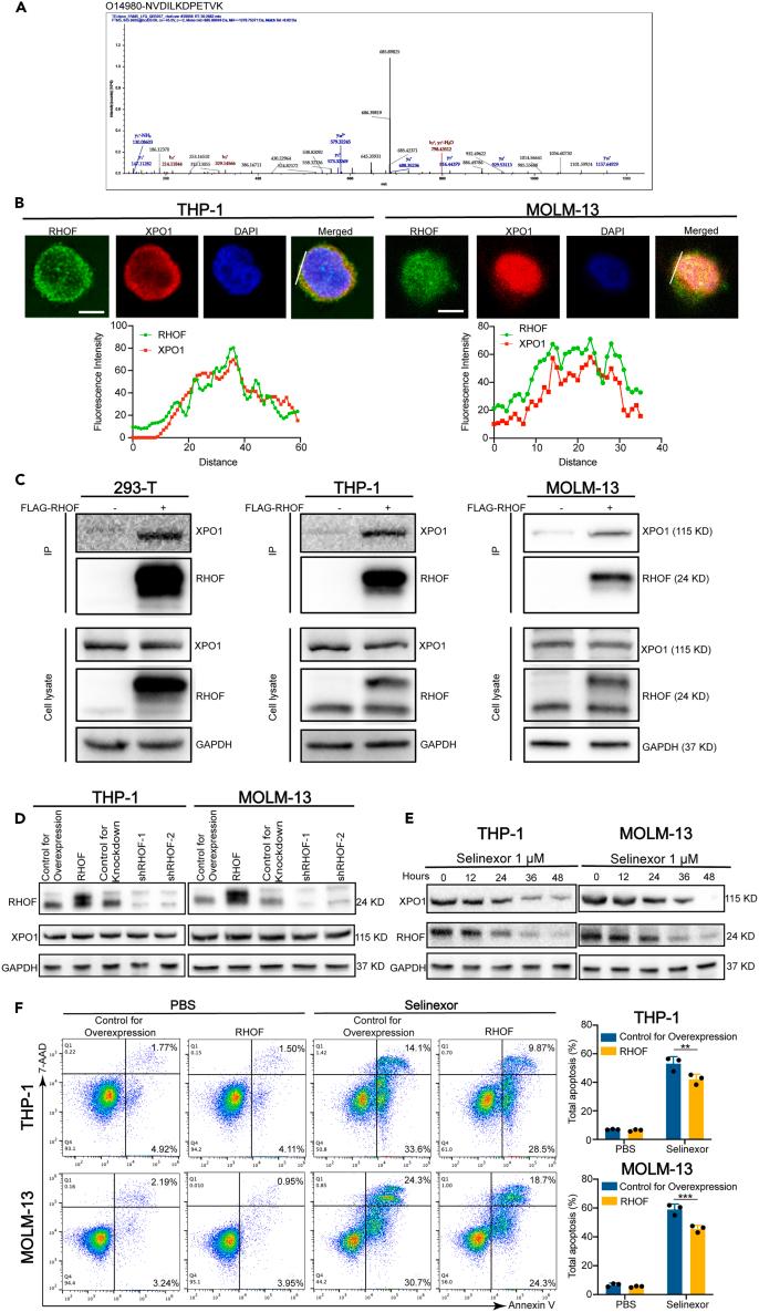 https://cdn.ncbi.nlm.nih.gov/pmc/blobs/af72/11253531/398c48892ad6/gr7.jpg