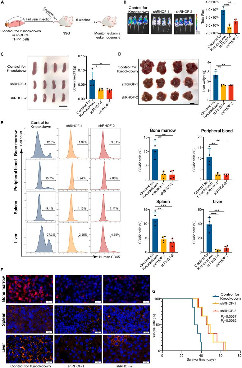 https://cdn.ncbi.nlm.nih.gov/pmc/blobs/af72/11253531/92868d0aacf6/gr3.jpg
