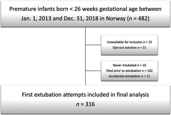 https://cdn.ncbi.nlm.nih.gov/pmc/blobs/af76/10064049/09b33c319ec7/fped-11-1090701-g002.jpg