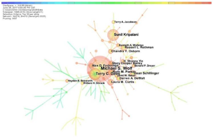 https://cdn.ncbi.nlm.nih.gov/pmc/blobs/af77/6144508/2db1b6c1e361/10.1177_2050312118800199-fig2.jpg