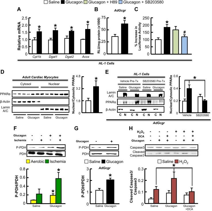 https://cdn.ncbi.nlm.nih.gov/pmc/blobs/af78/4314543/7750d39fa514/gr2.jpg