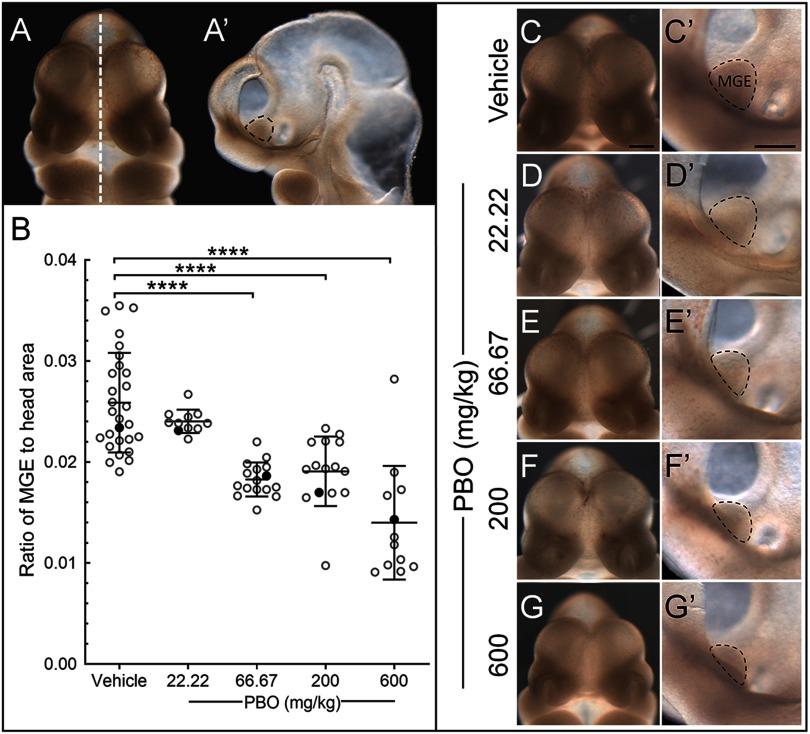 https://cdn.ncbi.nlm.nih.gov/pmc/blobs/af78/6867268/0ed3a3ef8de9/ehp-127-107006-g005.jpg