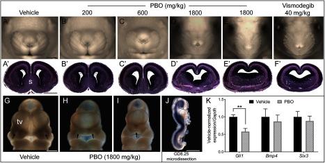 https://cdn.ncbi.nlm.nih.gov/pmc/blobs/af78/6867268/c5eaa8c67dae/ehp-127-107006-g003.jpg