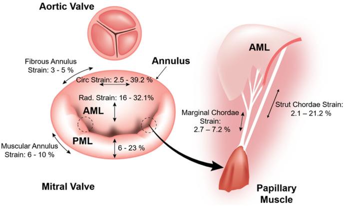 https://cdn.ncbi.nlm.nih.gov/pmc/blobs/af78/8917041/0e4992a3cc9d/10439_2022_2927_Fig3_HTML.jpg
