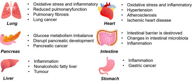 https://cdn.ncbi.nlm.nih.gov/pmc/blobs/af7b/11503884/62d15d3ff4a8/eh3c00060_0004.jpg