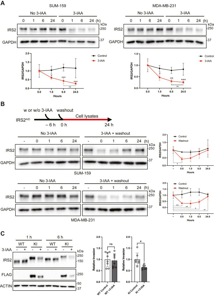 https://cdn.ncbi.nlm.nih.gov/pmc/blobs/af7b/11513485/9740b9c2e8a2/gr5.jpg