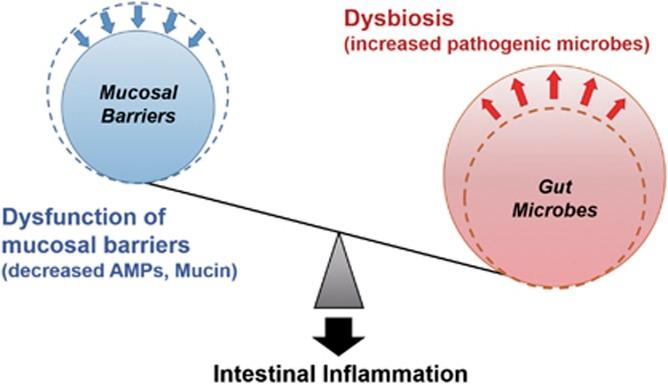 https://cdn.ncbi.nlm.nih.gov/pmc/blobs/af7b/5454438/5076205b057c/emm201720f3.jpg