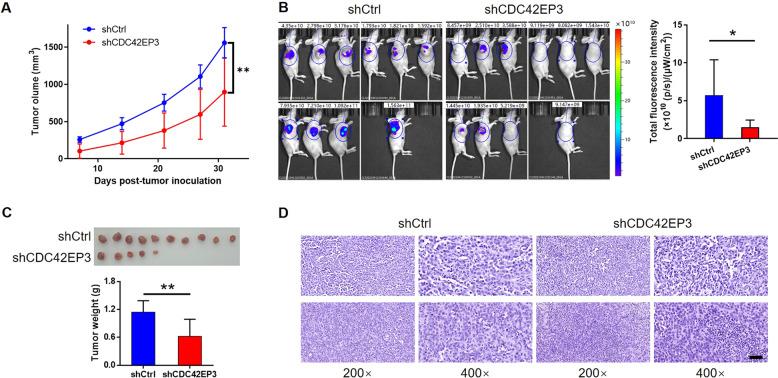 https://cdn.ncbi.nlm.nih.gov/pmc/blobs/af7c/8975815/7f5adccdb657/41419_2022_4733_Fig3_HTML.jpg