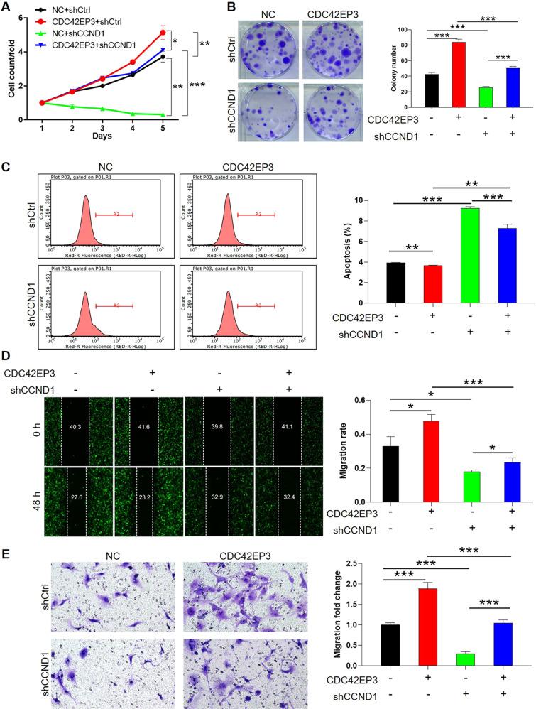 https://cdn.ncbi.nlm.nih.gov/pmc/blobs/af7c/8975815/98b43d2f4ef1/41419_2022_4733_Fig6_HTML.jpg