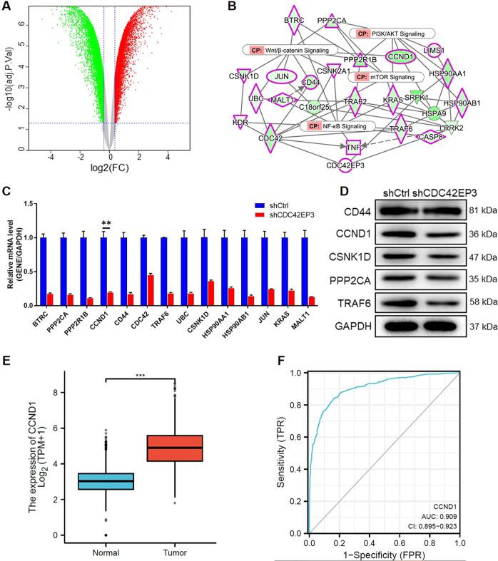 https://cdn.ncbi.nlm.nih.gov/pmc/blobs/af7c/8975815/c6368782e60a/41419_2022_4733_Fig5_HTML.jpg