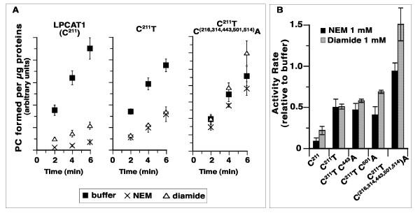 https://cdn.ncbi.nlm.nih.gov/pmc/blobs/af7f/3439698/57912f84d3d9/1471-2091-13-8-5.jpg