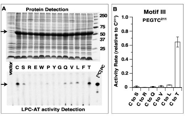 https://cdn.ncbi.nlm.nih.gov/pmc/blobs/af7f/3439698/d8ab820cea1c/1471-2091-13-8-4.jpg