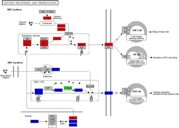https://cdn.ncbi.nlm.nih.gov/pmc/blobs/af80/3583171/38feea0bf7e4/1471-2164-13-319-4.jpg