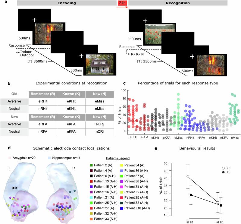 https://cdn.ncbi.nlm.nih.gov/pmc/blobs/af82/12289934/594d22676c03/41467_2025_61928_Fig1_HTML.jpg