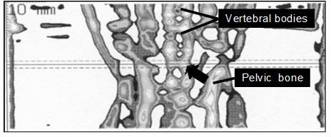 https://cdn.ncbi.nlm.nih.gov/pmc/blobs/af82/7041521/98948a9b8c9d/pb-6-65-g02.jpg