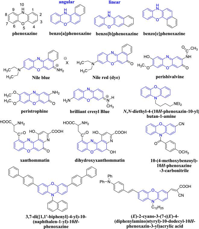 https://cdn.ncbi.nlm.nih.gov/pmc/blobs/af82/9909160/2d207cbf6b2c/11030_2023_10619_Sch2_HTML.jpg