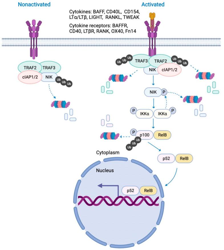 https://cdn.ncbi.nlm.nih.gov/pmc/blobs/af83/9268066/57aabcc24c19/molecules-27-04275-g001.jpg