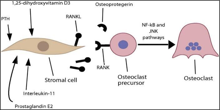 https://cdn.ncbi.nlm.nih.gov/pmc/blobs/af84/10818257/189cb9812425/gr3.jpg