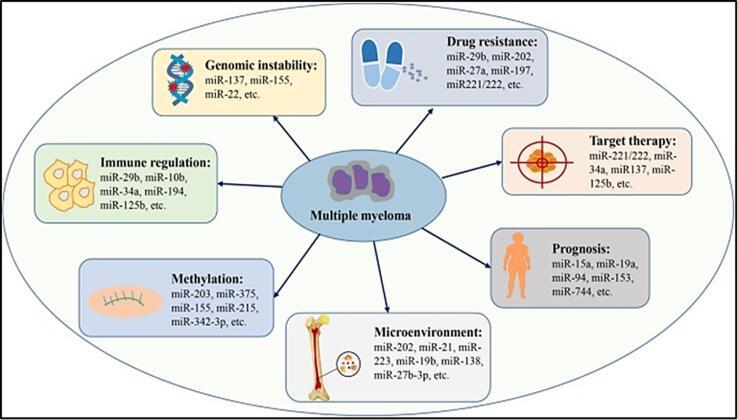 https://cdn.ncbi.nlm.nih.gov/pmc/blobs/af84/10818257/237152990b17/gr4.jpg