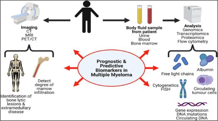 https://cdn.ncbi.nlm.nih.gov/pmc/blobs/af84/10818257/ad13f994be86/gr6.jpg