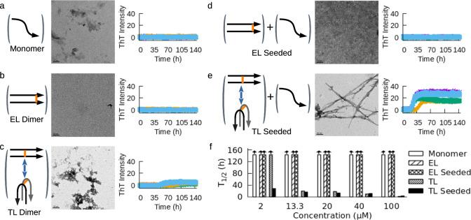 https://cdn.ncbi.nlm.nih.gov/pmc/blobs/af84/10980705/a966575d6a0b/41467_2024_46446_Fig3_HTML.jpg