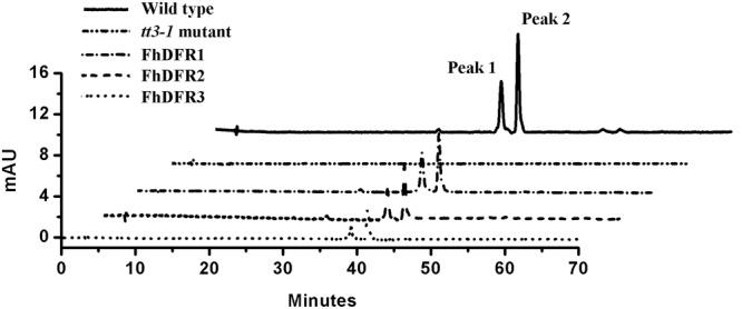 https://cdn.ncbi.nlm.nih.gov/pmc/blobs/af84/5368250/48e0d1df4900/fpls-08-00428-g005.jpg
