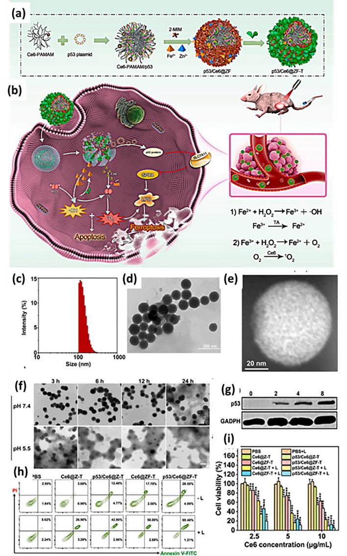 https://cdn.ncbi.nlm.nih.gov/pmc/blobs/af85/11065855/292a89ec60ba/40820_2024_1399_Fig16_HTML.jpg