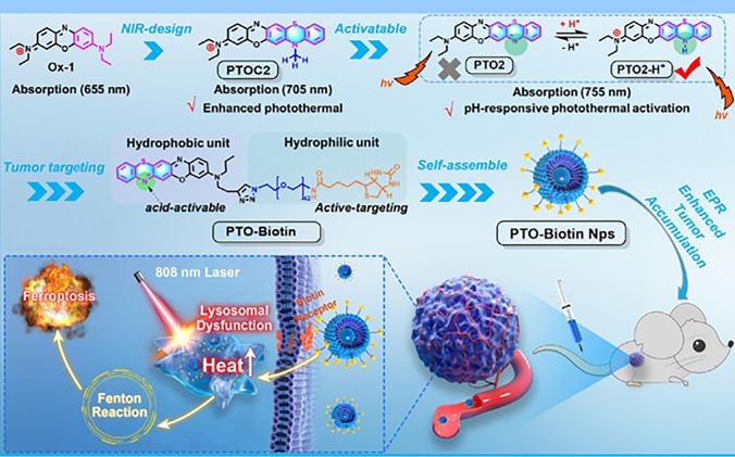 https://cdn.ncbi.nlm.nih.gov/pmc/blobs/af85/11065855/36a3d2064020/40820_2024_1399_Fig6_HTML.jpg