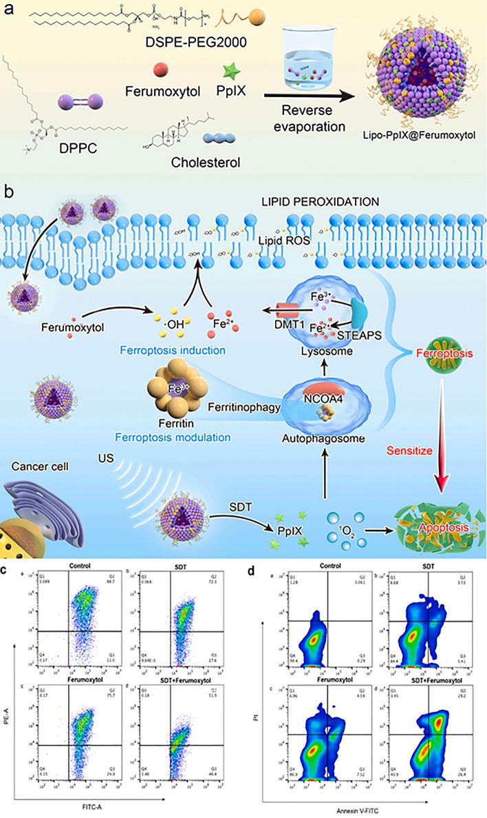 https://cdn.ncbi.nlm.nih.gov/pmc/blobs/af85/11065855/3a705c78f3e2/40820_2024_1399_Fig13_HTML.jpg