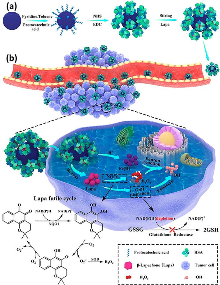 https://cdn.ncbi.nlm.nih.gov/pmc/blobs/af85/11065855/41e674d521aa/40820_2024_1399_Fig5_HTML.jpg