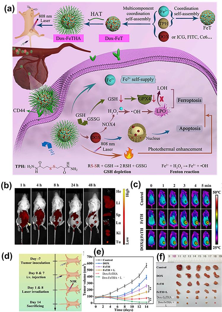 https://cdn.ncbi.nlm.nih.gov/pmc/blobs/af85/11065855/60f7dd47e6ba/40820_2024_1399_Fig8_HTML.jpg