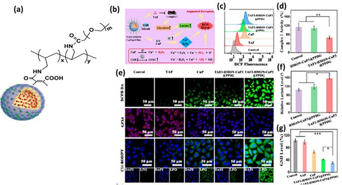 https://cdn.ncbi.nlm.nih.gov/pmc/blobs/af85/11065855/8a7fdf8e9469/40820_2024_1399_Fig4_HTML.jpg