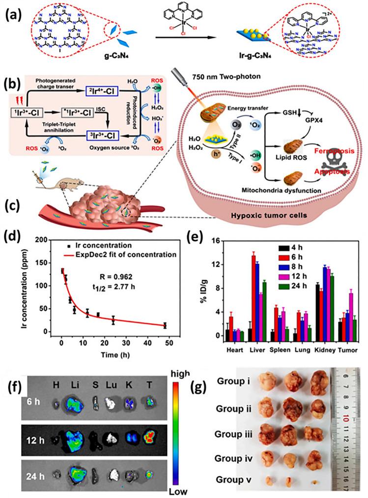 https://cdn.ncbi.nlm.nih.gov/pmc/blobs/af85/11065855/8e6717092abb/40820_2024_1399_Fig14_HTML.jpg