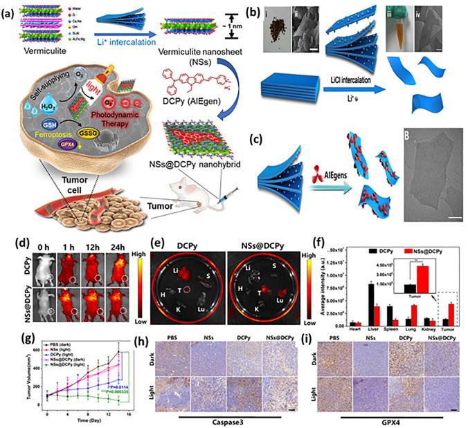 https://cdn.ncbi.nlm.nih.gov/pmc/blobs/af85/11065855/a6860fbbcd58/40820_2024_1399_Fig15_HTML.jpg