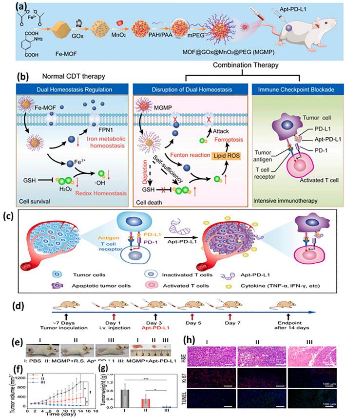 https://cdn.ncbi.nlm.nih.gov/pmc/blobs/af85/11065855/b772ff49f502/40820_2024_1399_Fig10_HTML.jpg