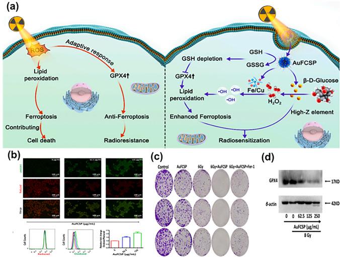 https://cdn.ncbi.nlm.nih.gov/pmc/blobs/af85/11065855/c6fad54cce7d/40820_2024_1399_Fig7_HTML.jpg