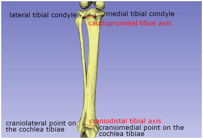 https://cdn.ncbi.nlm.nih.gov/pmc/blobs/af86/10373893/5ebef1e38835/fvets-10-1194167-g0004.jpg