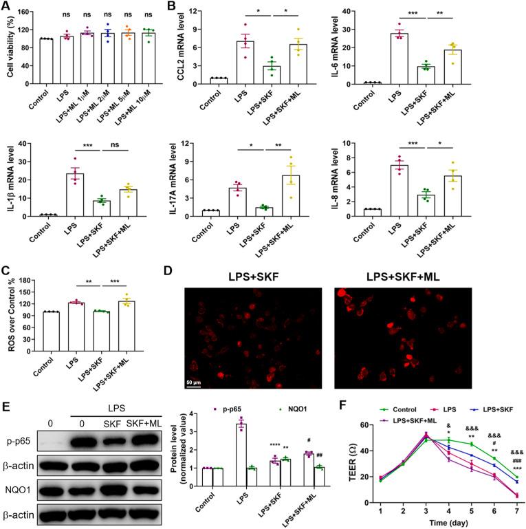 https://cdn.ncbi.nlm.nih.gov/pmc/blobs/af87/10033496/46ec56b8dd96/gr8_lrg.jpg
