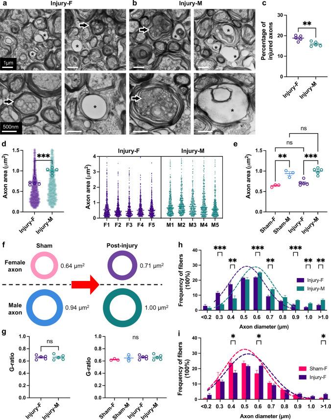 https://cdn.ncbi.nlm.nih.gov/pmc/blobs/af87/11070388/7bc662fd18d9/401_2024_2735_Fig5_HTML.jpg